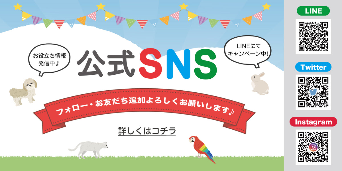 SNSにて情報発信中！ – eversego